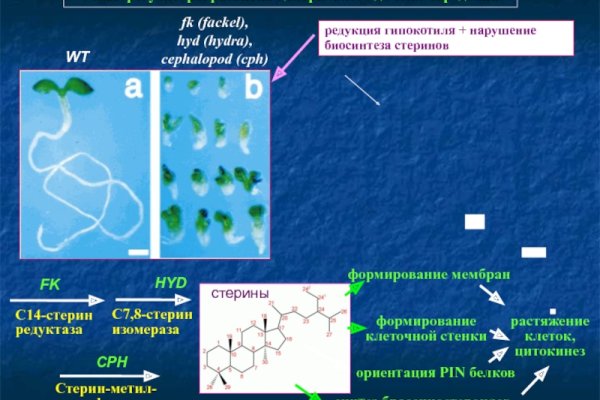 Кракен вход krakens13 at