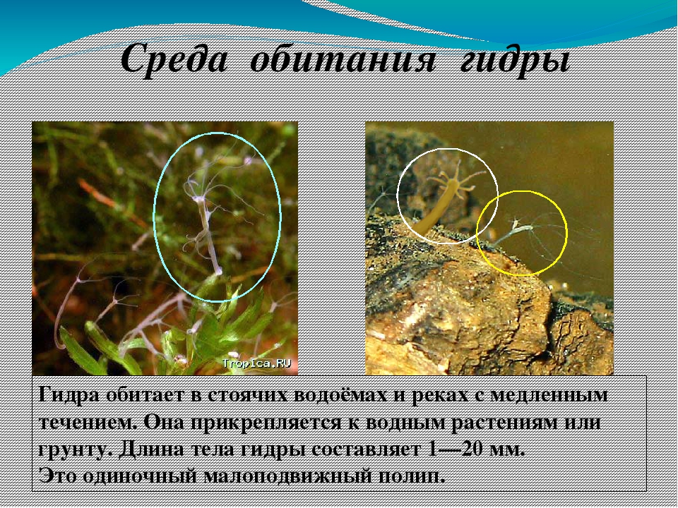 Кракен маркет плейс