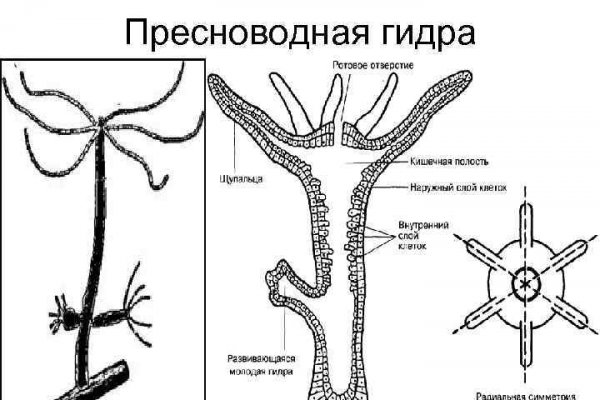 Как сделать заказ на кракен